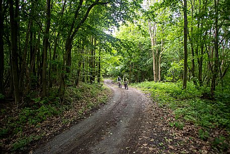 MTB Alta Langa